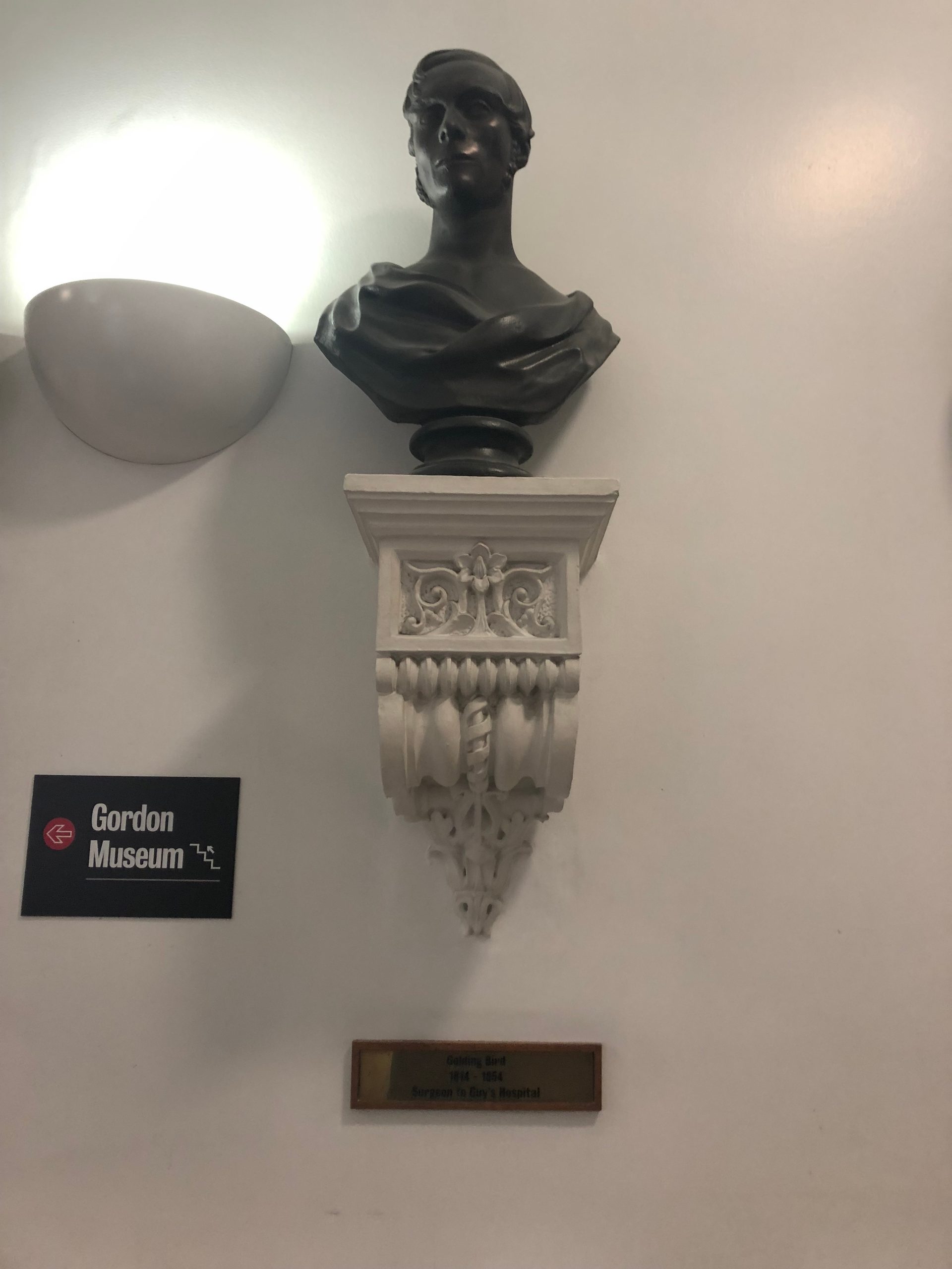 Golding Bird's bust, Guy's Hospital, London - 03.JPG